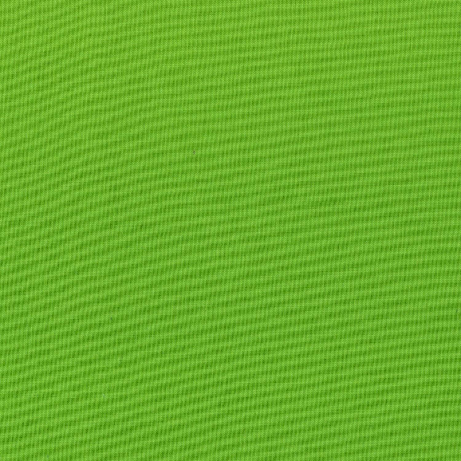 official-paintbrush-solid-apple-green-discount_0.jpg