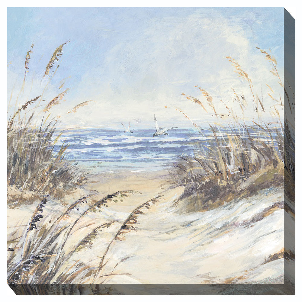 find-something-new-to-wear-beach-grass-canvas-wall-art-online-now_0.jpg